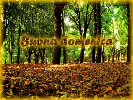 buona-domenica-dautunno-1